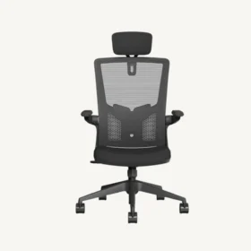 TaskChair ELCH