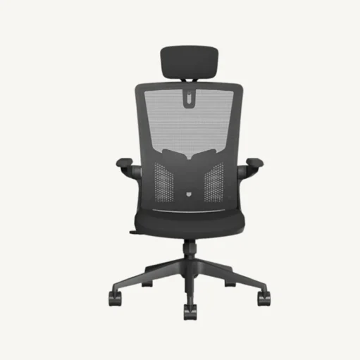 TaskChair ELCH