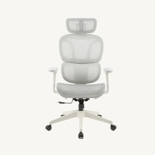 Essential Ergonomic Office Chair C6