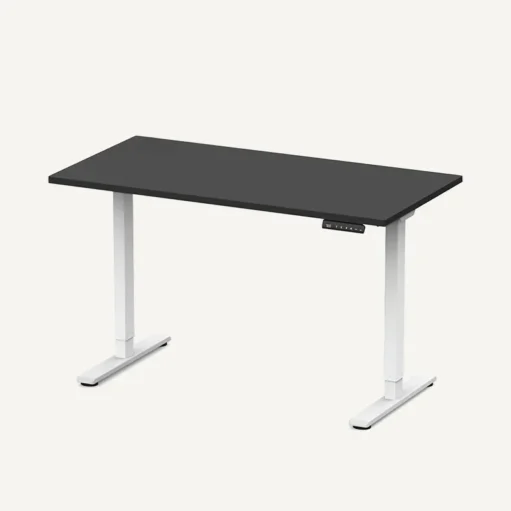 Smart Standing Desk E1 Pro