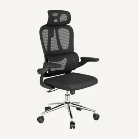 LITE Ergonomic Office Chair OC19