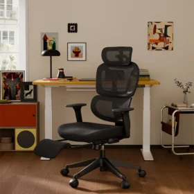 Alternative view of Ergonomic Chair with Cloud Comfort Cushion BS5-PRO