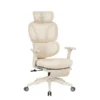 Ergonomic Chair with Cloud Comfort Cushion BS5-PRO