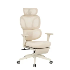 Ergonomic Chair with Cloud Comfort Cushion BS5-PRO