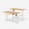 Two-Person Standing Desk EH1