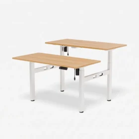 Two-Person Standing Desk EH1